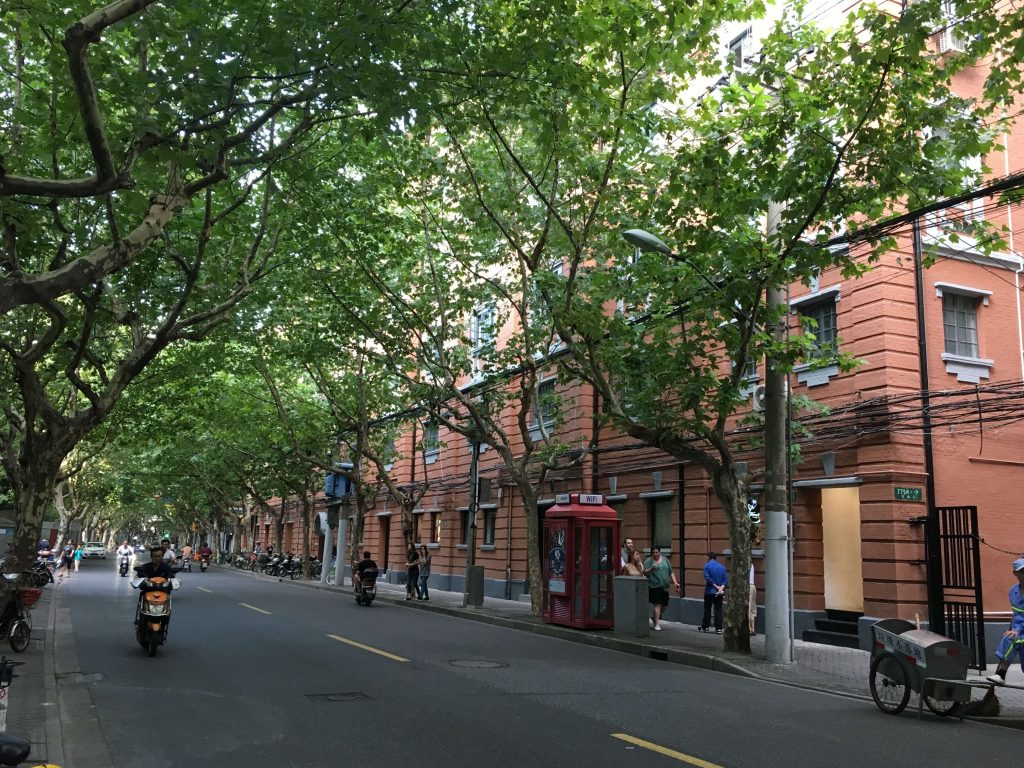 上海生活 | 法國梧桐樹與老洋房，散步在上海英法租界 10